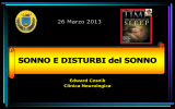 Cesnik - SONNO 2015 pdf