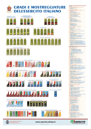Gradi e mostreggiature dell`Esercito