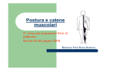 Catene Muscolari Posture