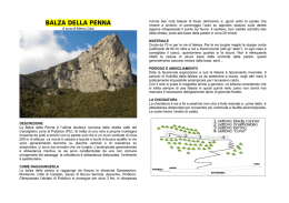 balza della penna - Samuele Mazzolini