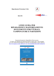 linee guida per riparazione e rafforzamento di elementi