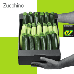 Zucchino - Enza Zaden