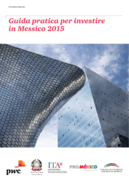 Guida pratica per investire in Messico 2015