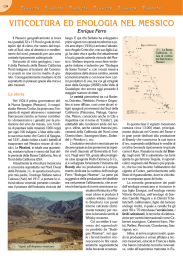 viticoltura ed enologia nel messico