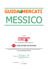 Guida_ai_Mercati_MESSICO_on line