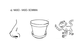 a) NASO - VASO