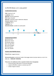 La PEG/PEJ Boston: cos`è e come gestirla?