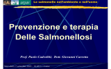 Prevenzione e terapia Delle Salmonellosi