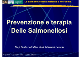 Prevenzione e terapia Delle Salmonellosi