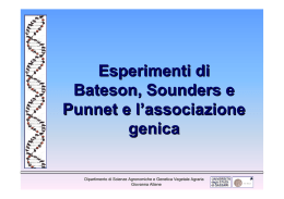 Esperimenti di Bateson, Sounders e Punnet e l`associazione genica