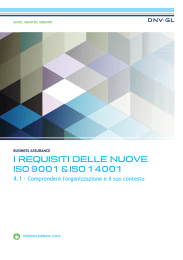 4.1 - Comprendere l`organizzazione e il suo contesto