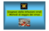 Diagnosi delle infezioni virali Metodi di saggio dei virus