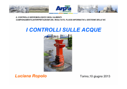 I CONTROLLI SULLE ACQUE