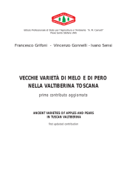 VECCHIE VARIETË DI MELO 04