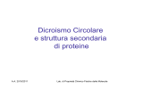 Dicroismo Circolare e struttura secondaria di proteine