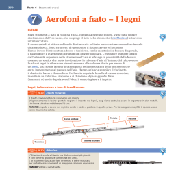 Aerofoni a fiato – I legni