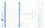 Modulo Blu Card Il Gigante