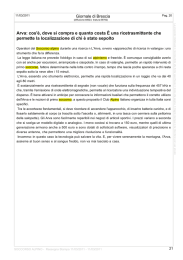 Arva: cosa compra e quanto costa una ricetrasmittente che