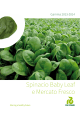 Spinacio Baby Leaf e Mercato Fresco