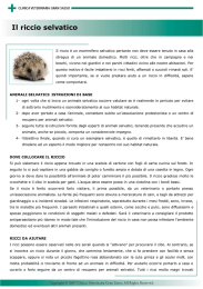 Riccio - Clinica Veterinaria Gran Sasso