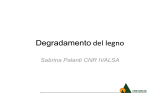 Degradamento del legno