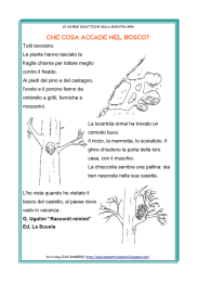 che cosa accade nel bosco?