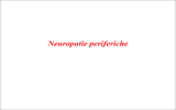 Nervi cranici- Neuropatie periferiche
