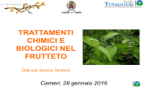 Trattamenti frutteto 28-1.STAMPASLIDE