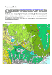 Per la miniera di Monte Nero