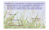 minima lavorazione e semina su sodo del mais: risultati agronomici