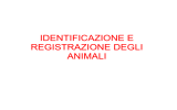 identificazione e registrazione degli animali