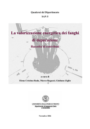 La valorizzazione energetica dei fanghi di depurazione