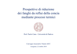 Prospettive di riduzione dei fanghi da reflui della concia mediante