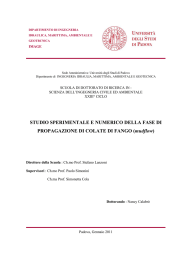 Documento PDF (tesi di dottorato) - Padua@Research