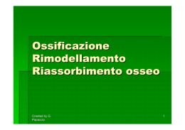 Ossificazione Rimodellamento Riassorbimento osseo