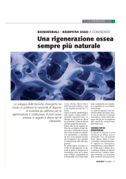 Una rigenerazione ossea sempre più naturale 9