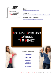 aprendo apprendo lapbook “i 5 sensi”