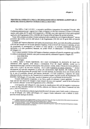 Segnalazione Certificata Inizio Attività (SCIA)