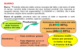 TRASFORMAZIONE della CREMA in BURRO: BURRIFICAZIONE