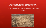 AGRICOLTURA SINERGICA l`arte di coltivare lasciando fare alla terra