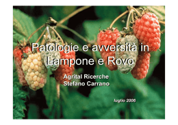 Patologie e avversità in lampone e rovo