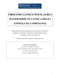 TIROCINIO CLINICO POSTLAUREA (INTERNSHIP) IN CLINICA