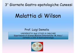 9.30 DEMELIA_relazione Wilson Cuneo