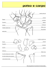 polso e carpo - Area Radiologica