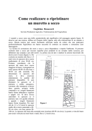 Come realizzare o ripristinare un muretto a secco