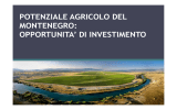 Opportunità di investimento nel settore agricolo