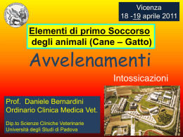 Intervento Prof. D. Bernardini