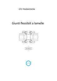 Giunti flessibili a lamelle