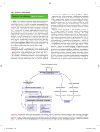 Capitolo 174 Febbre Keith R. Powell