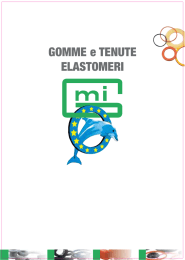 GOMME e TENUTE ELASTOMERI